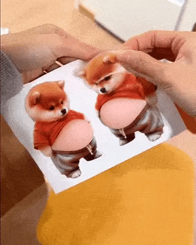 Why 50,000+ People Use This Chubby Dog Sticker on everything - Trendart